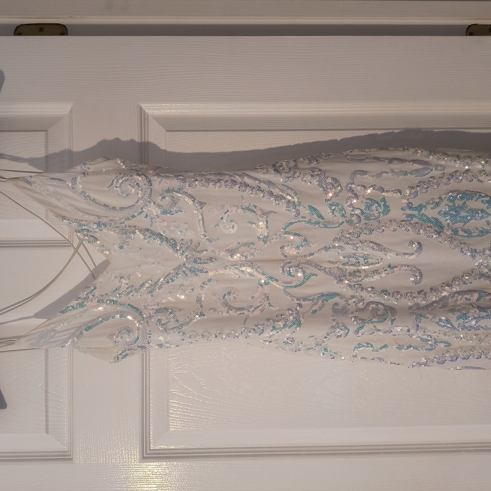 Windsor Iridescent Dress